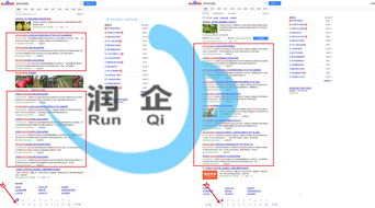 平顶山网络公司中的技术领航者 探索润企网络科技的SEO与网络技术服务